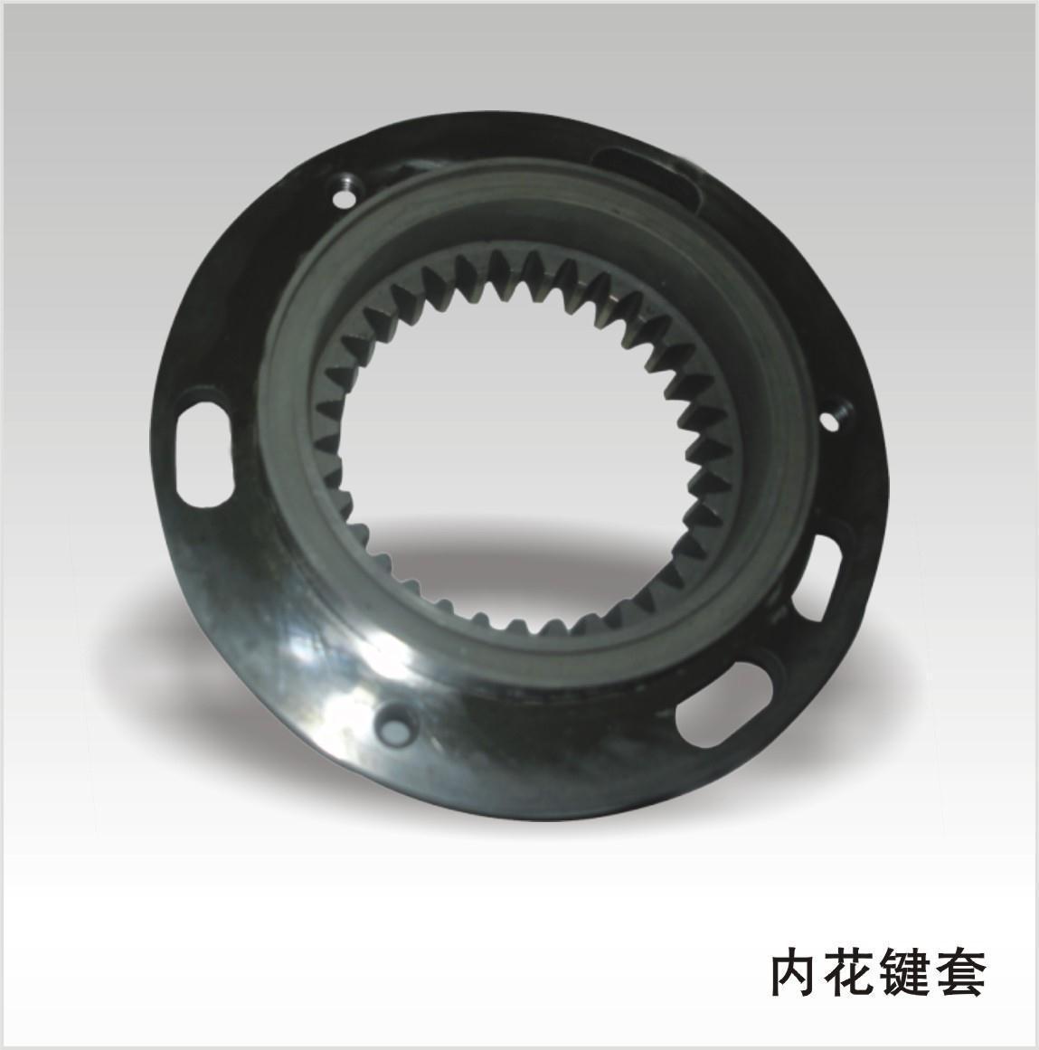 陜西弧齒 陜西弧齒